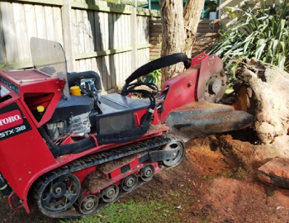 Screenshot 2026-02-13 163455 (1)