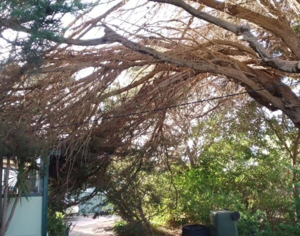 489828626_1251171777016630_2123018534128331980_n