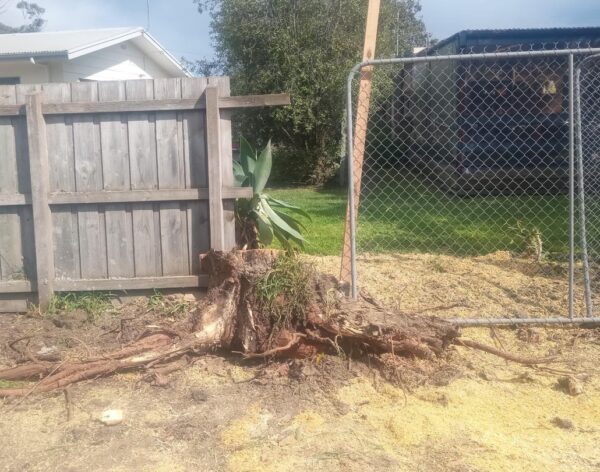 557349594_18014529548789670_3511971429235620789_n