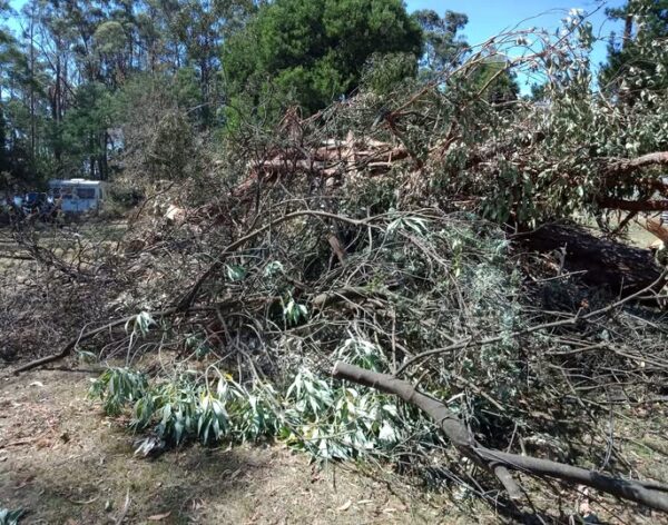 506087093_10237078550806387_5078618409007927805_n